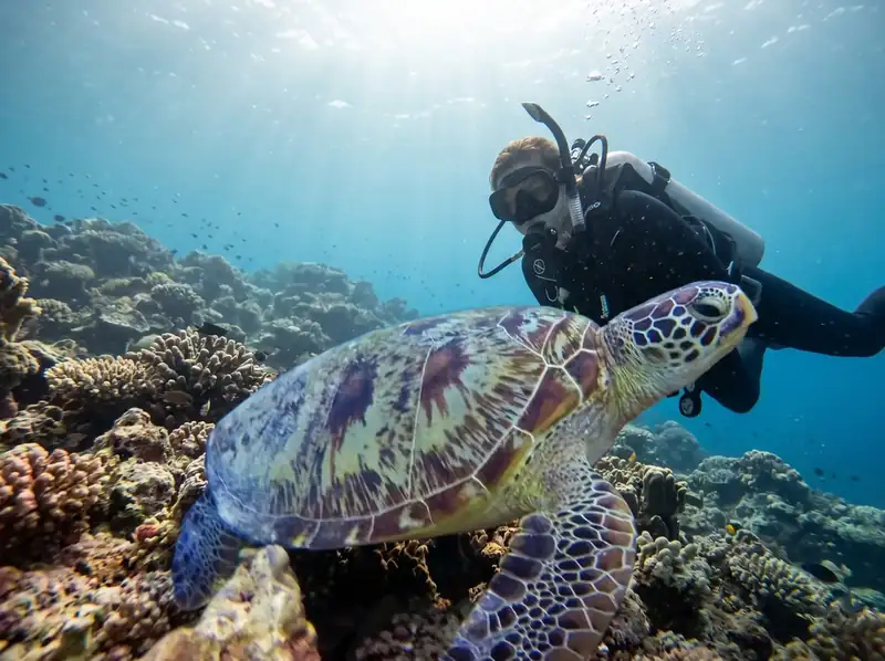 Scuba diving session at the famous Sipadan Marine Park Pearl Island Resort